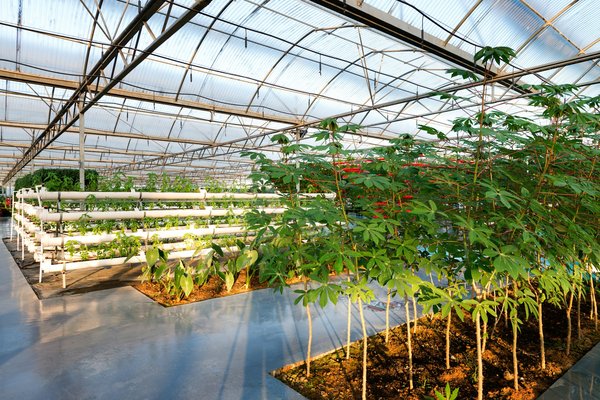 How can UK homeowners create an energy-efficient greenhouse for year-round gardening?