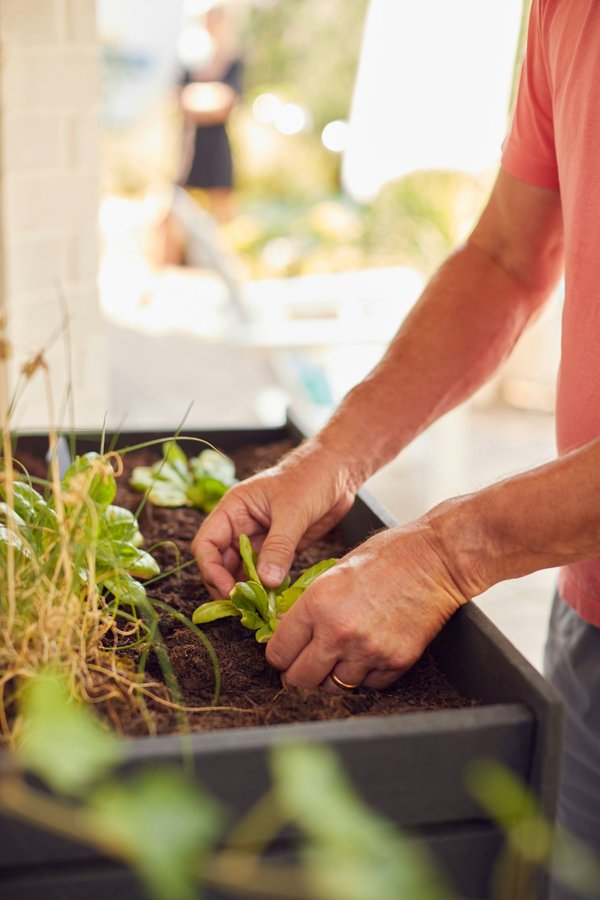 How to Build a DIY Vertical Planter Using PVC Pipes in the UK?