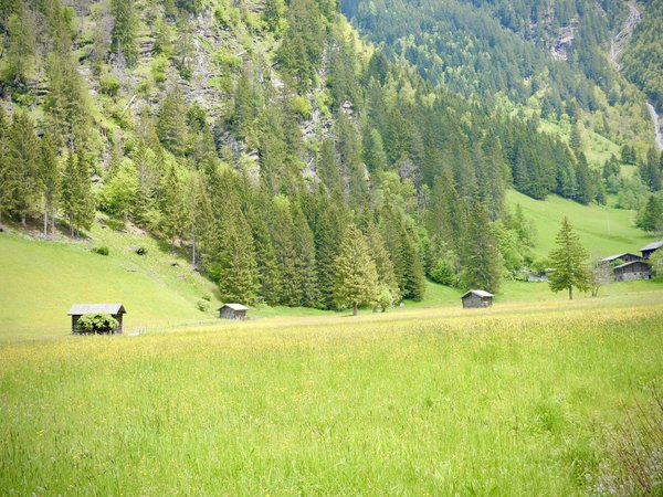 Discover the joys of retiring in portugal: your essential guide